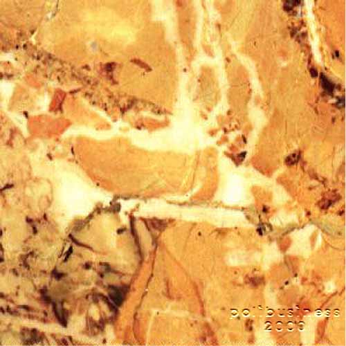 Breccia Aurora Classica