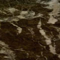 Grigio Carnico