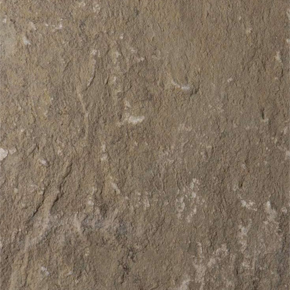 Grigio karachi arenaria