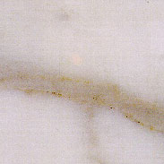 Venatino